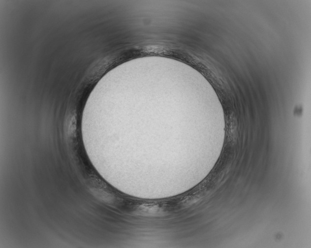 X0000116340502201001131048