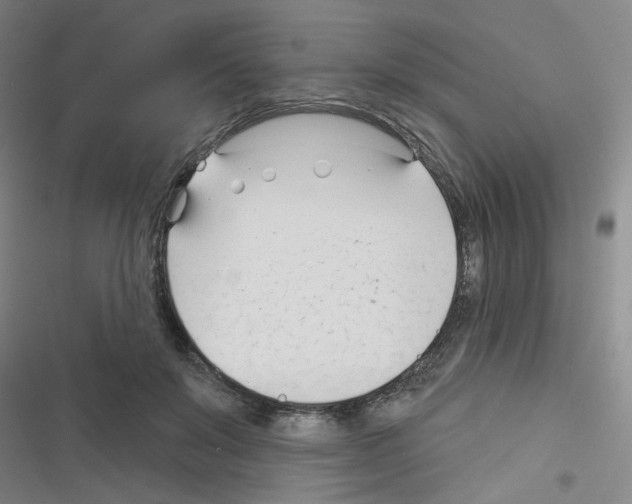 X0000116340503201001131048