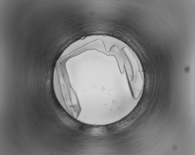 X0000116340505201001131048