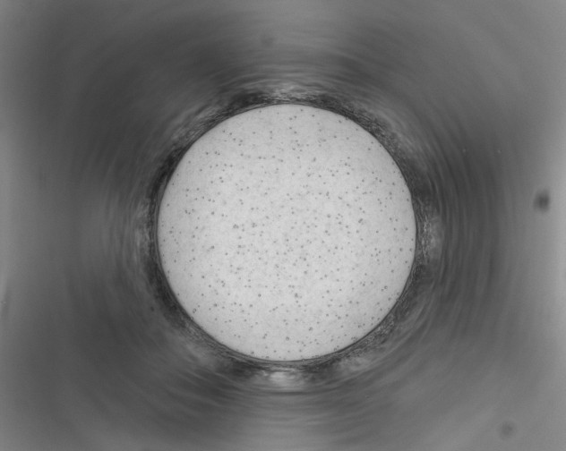 X0000116340506201001131048