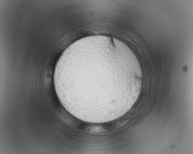 X0000116340507201001131048