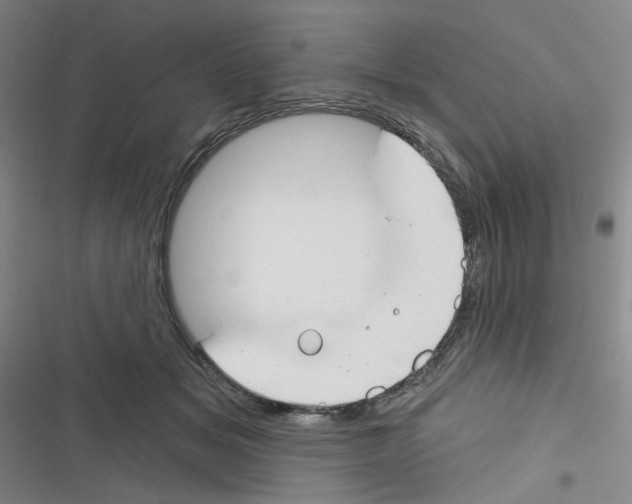 X0000116340509201001131048