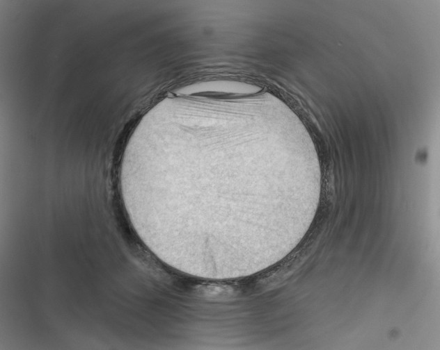 X0000116340512201001131048