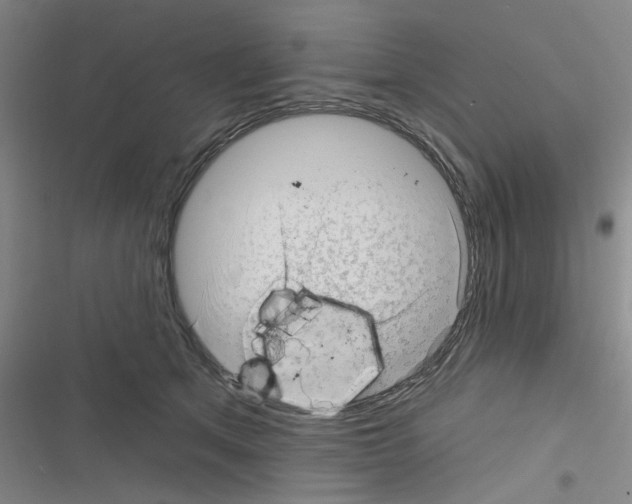 X0000116340513201001131048