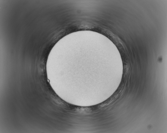 X0000116340517201001131048