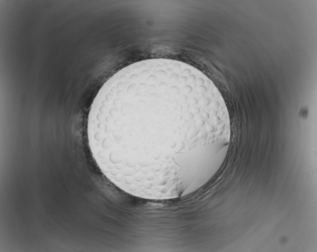 X0000116340519201001131048