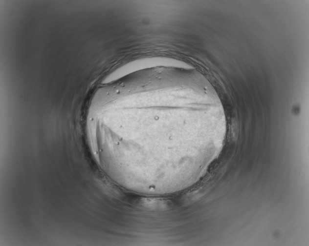 X0000116340520201001131048