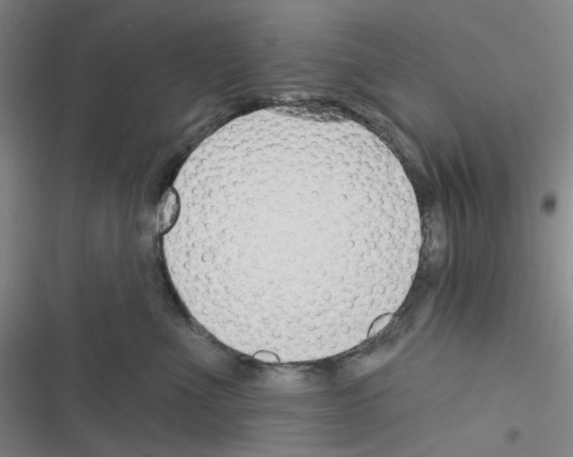 X0000116340523201001131048