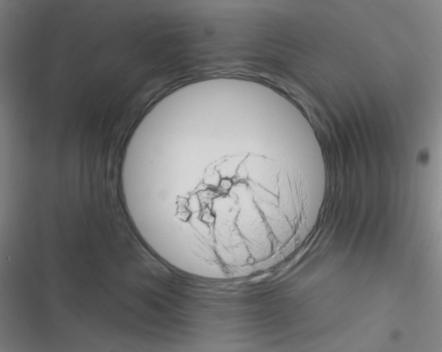 X0000116340525201001131048