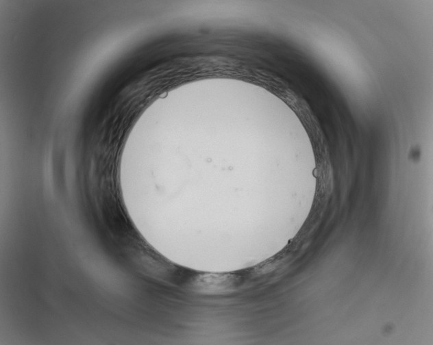 X0000116340526201001131048