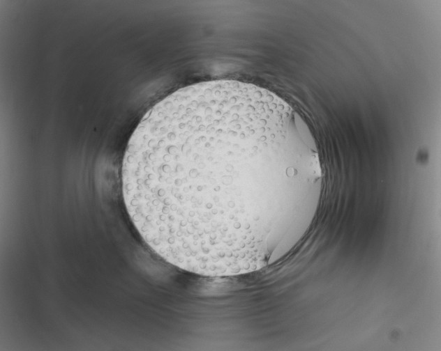 X0000116340527201001131048