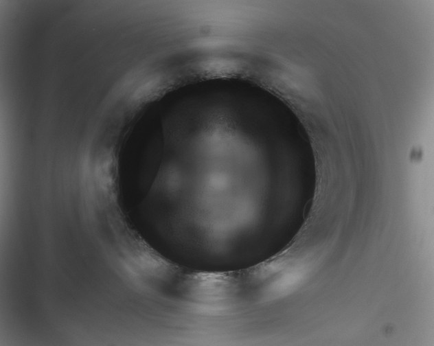 X0000116340528201001131048