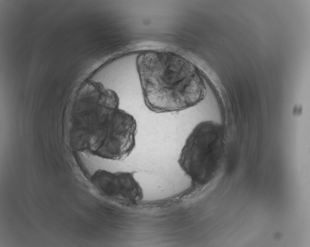 X0000116340529201001131047