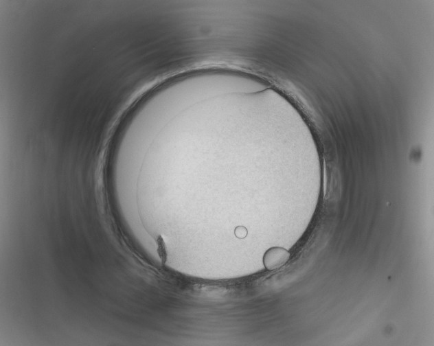 X0000116340531201001131047