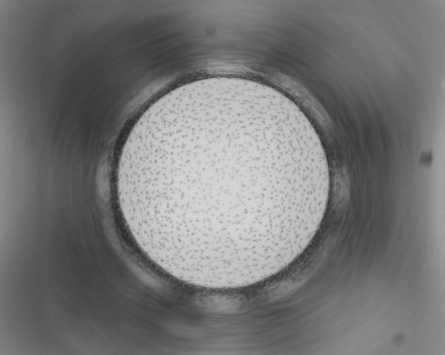 X0000116340533201001131047