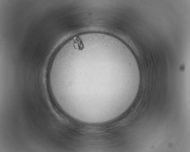 X0000116340534201001131047