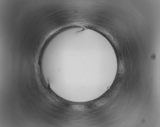 X0000116340535201001131047