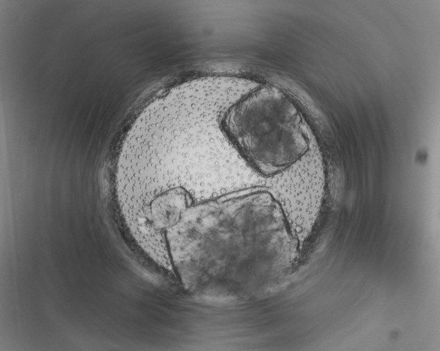 X0000116340537201001131047