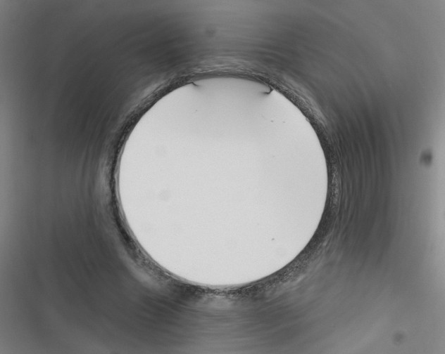 X0000116340538201001131047