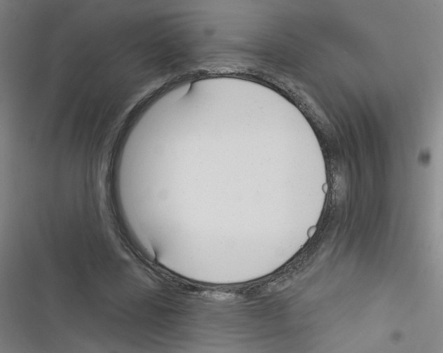 X0000116340539201001131047