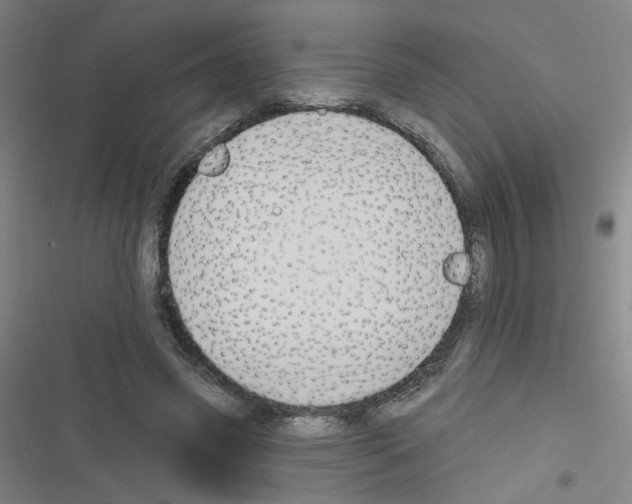 X0000116340541201001131047