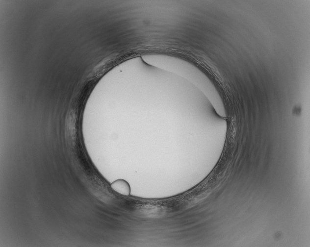 X0000116340542201001131047