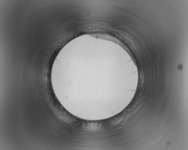 X0000116340546201001131047