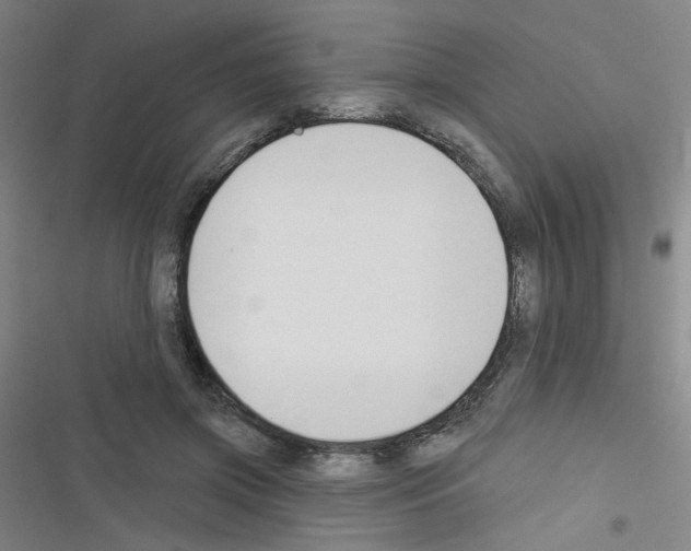 X0000116340549201001131047