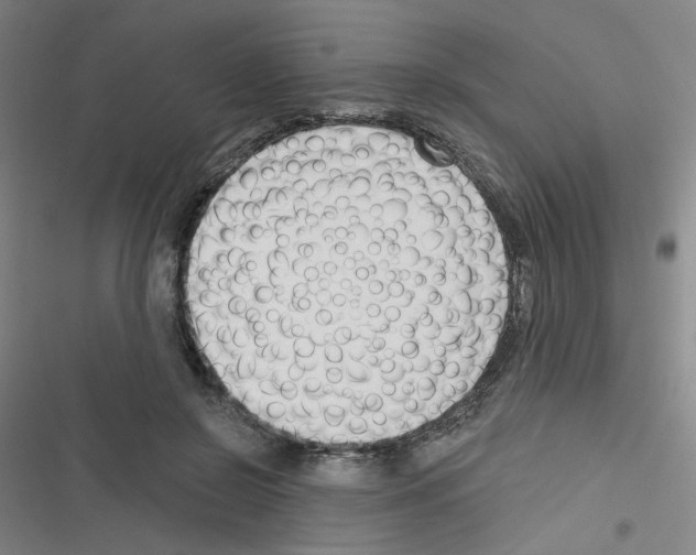 X0000116340550201001131047