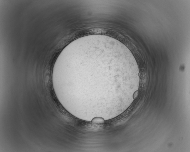 X0000116340553201001131047