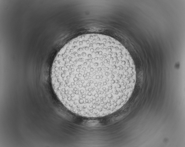 X0000116340554201001131047