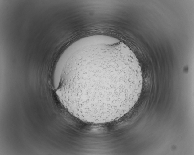 X0000116340555201001131047