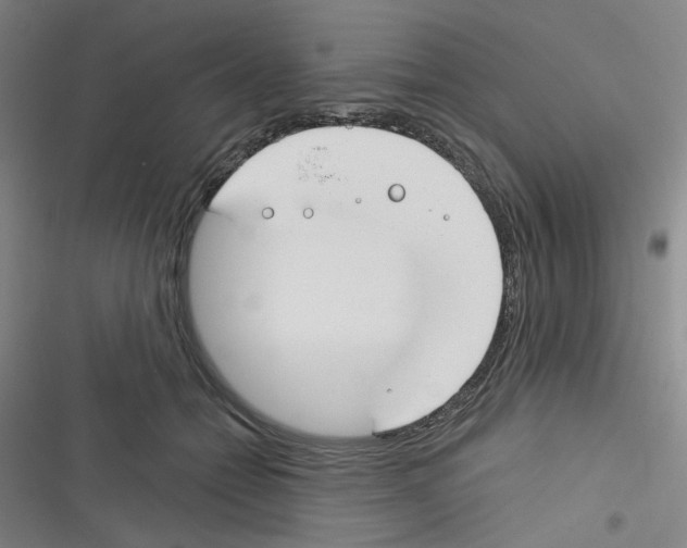 X0000116340558201001131047