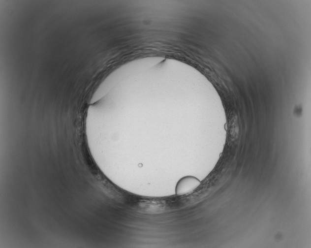 X0000116340559201001131047