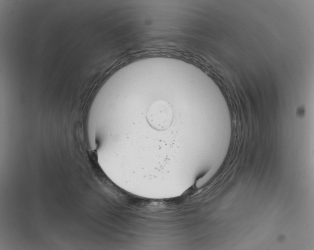 X0000116340562201001131047