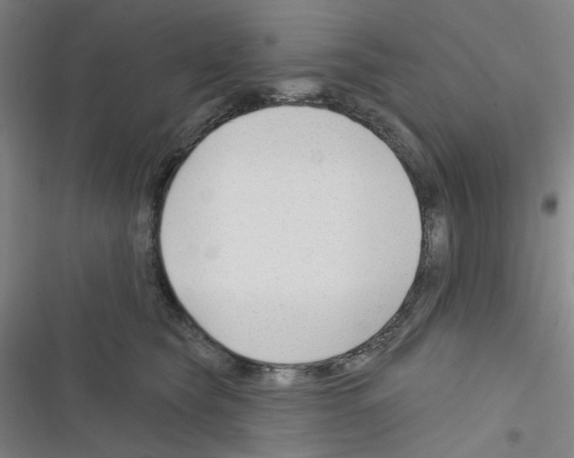 X0000116340565201001131048