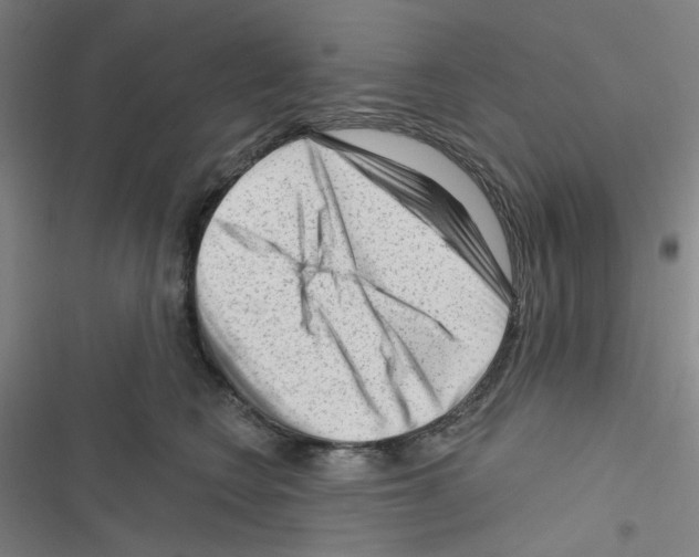 X0000116340566201001131048