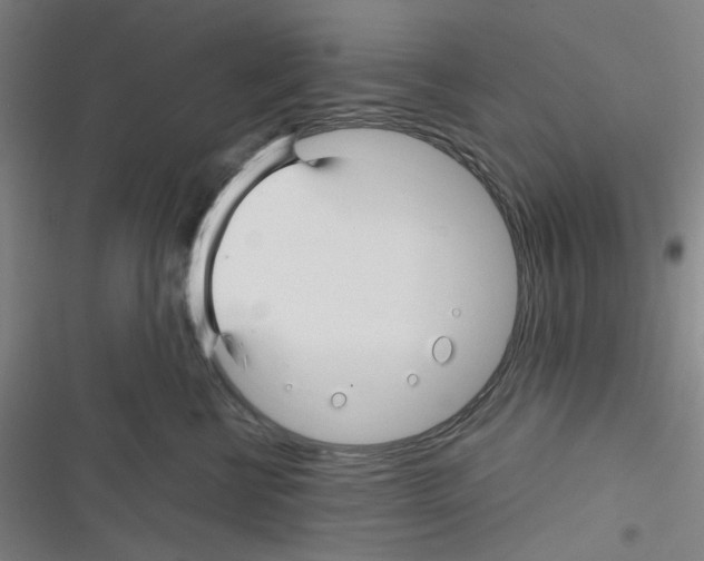 X0000116340570201001131048