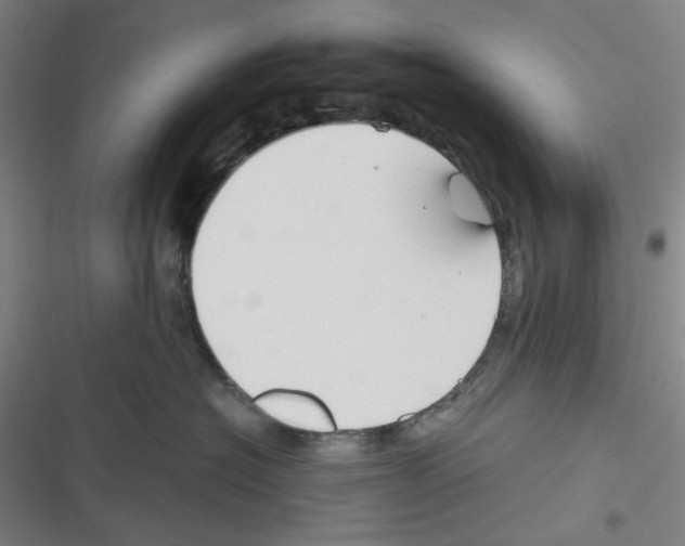 X0000116340574201001131048