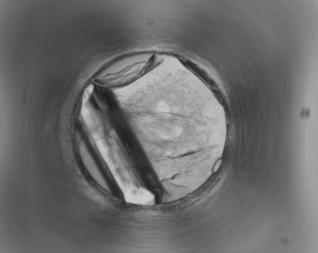 X0000116340577201001131047