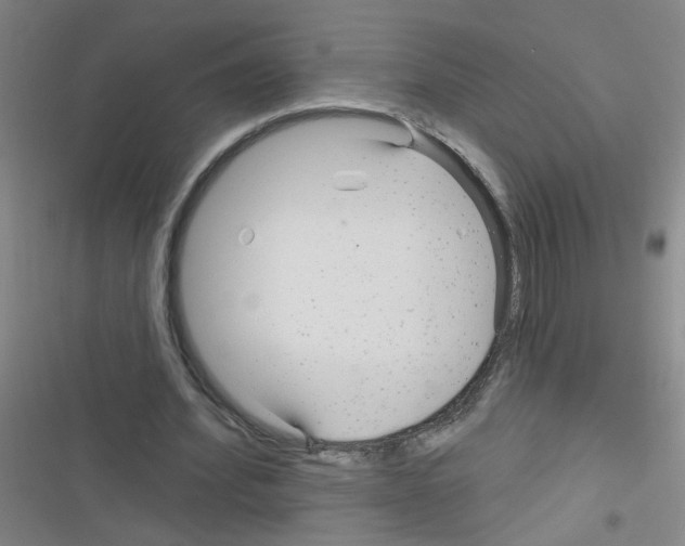 X0000116340580201001131047