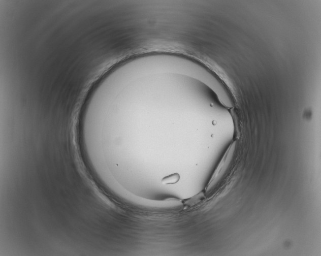 X0000116340581201001131047