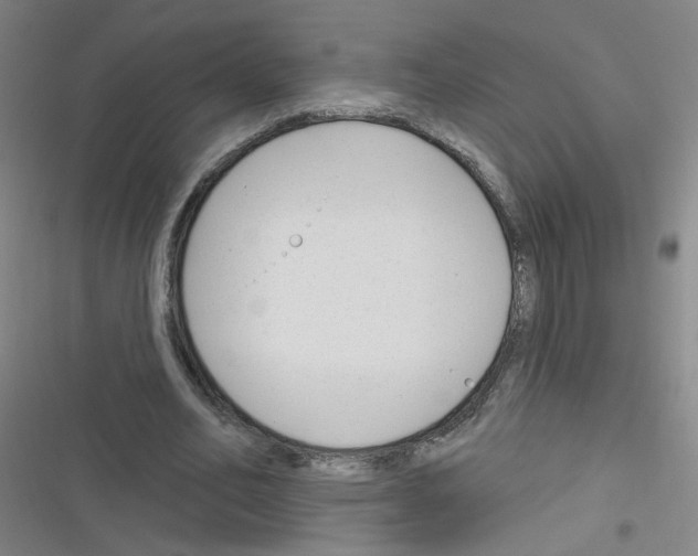 X0000116340582201001131047