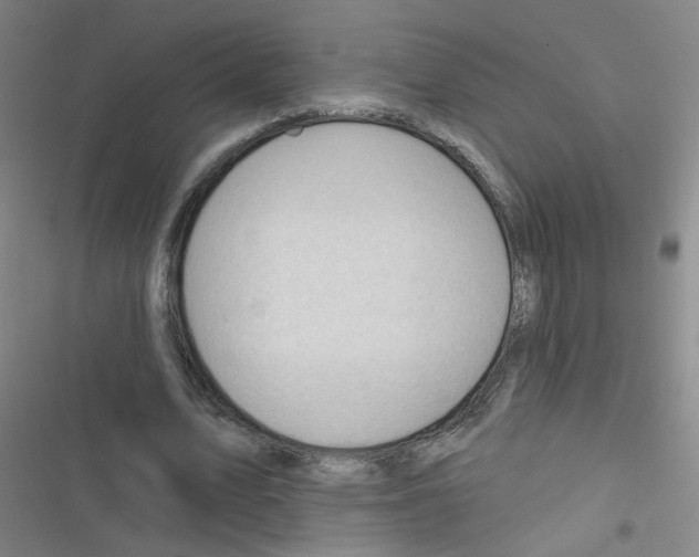 X0000116340583201001131047