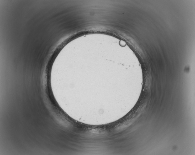 X0000116340584201001131047