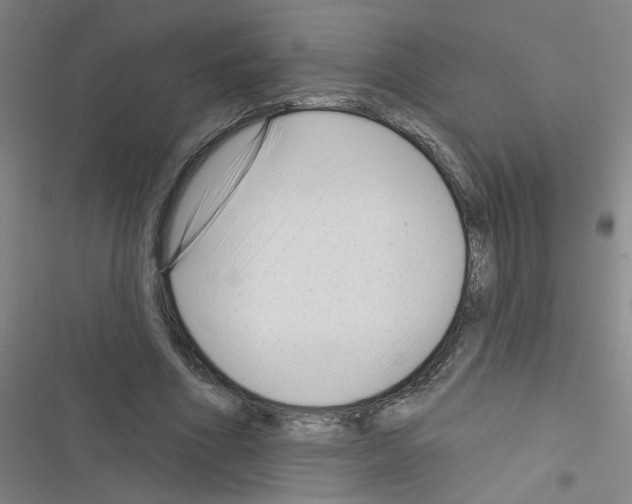 X0000116340586201001131047