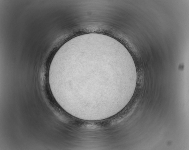 X0000116340590201001131047