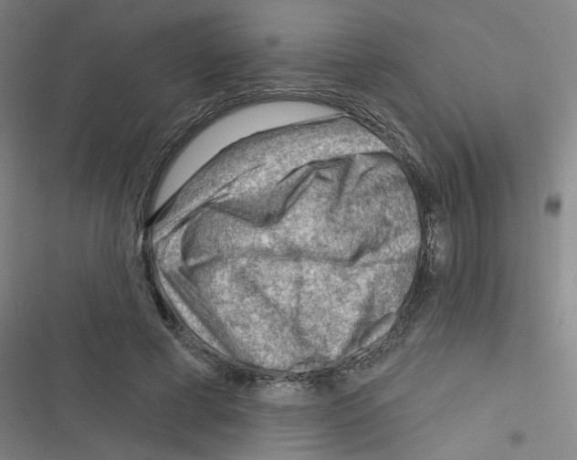 X0000116340593201001131047