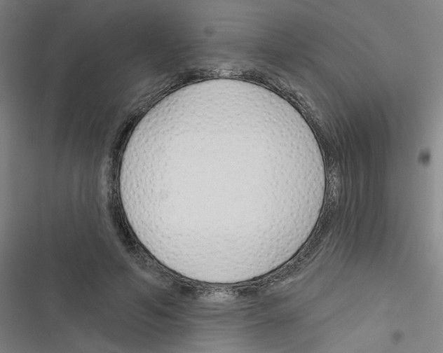 X0000116340594201001131047