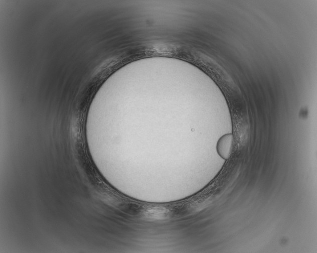 X0000116340595201001131047